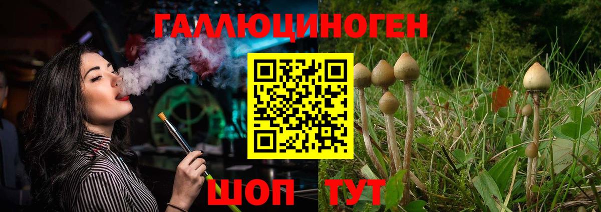 Псилоцибиновые грибы мицелий Зеленокумск