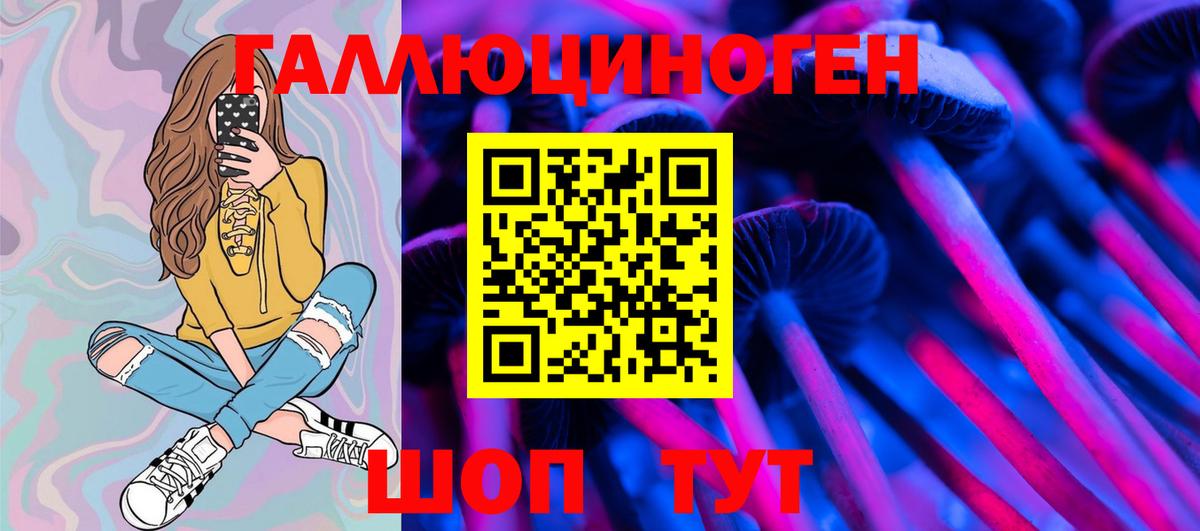 Галлюциногенные грибы Psilocybine cubensis  Вход с VPN  Зеленокумск 